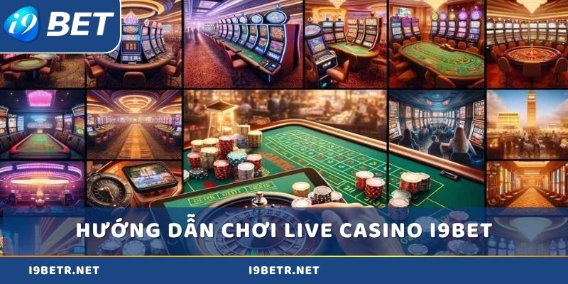 Hướng dẫn chơi Live Casino i9bet chi tiết cho các tân binh